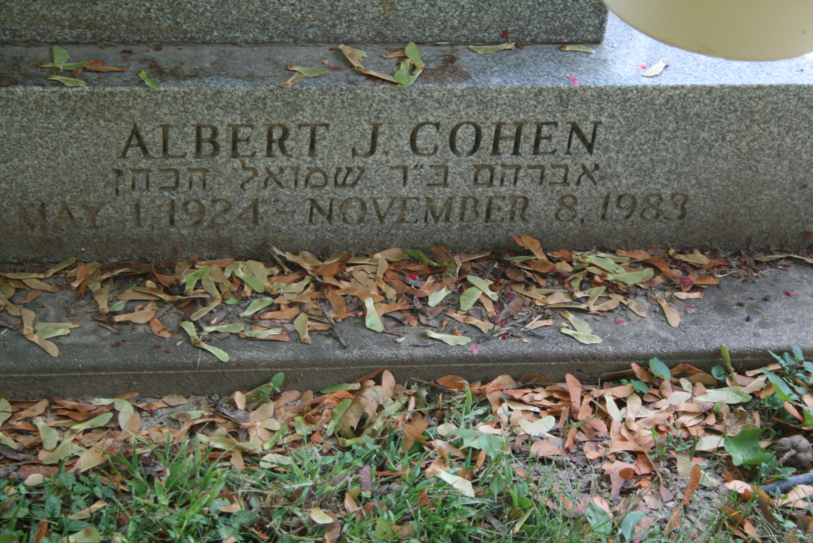 Cohen, Albert