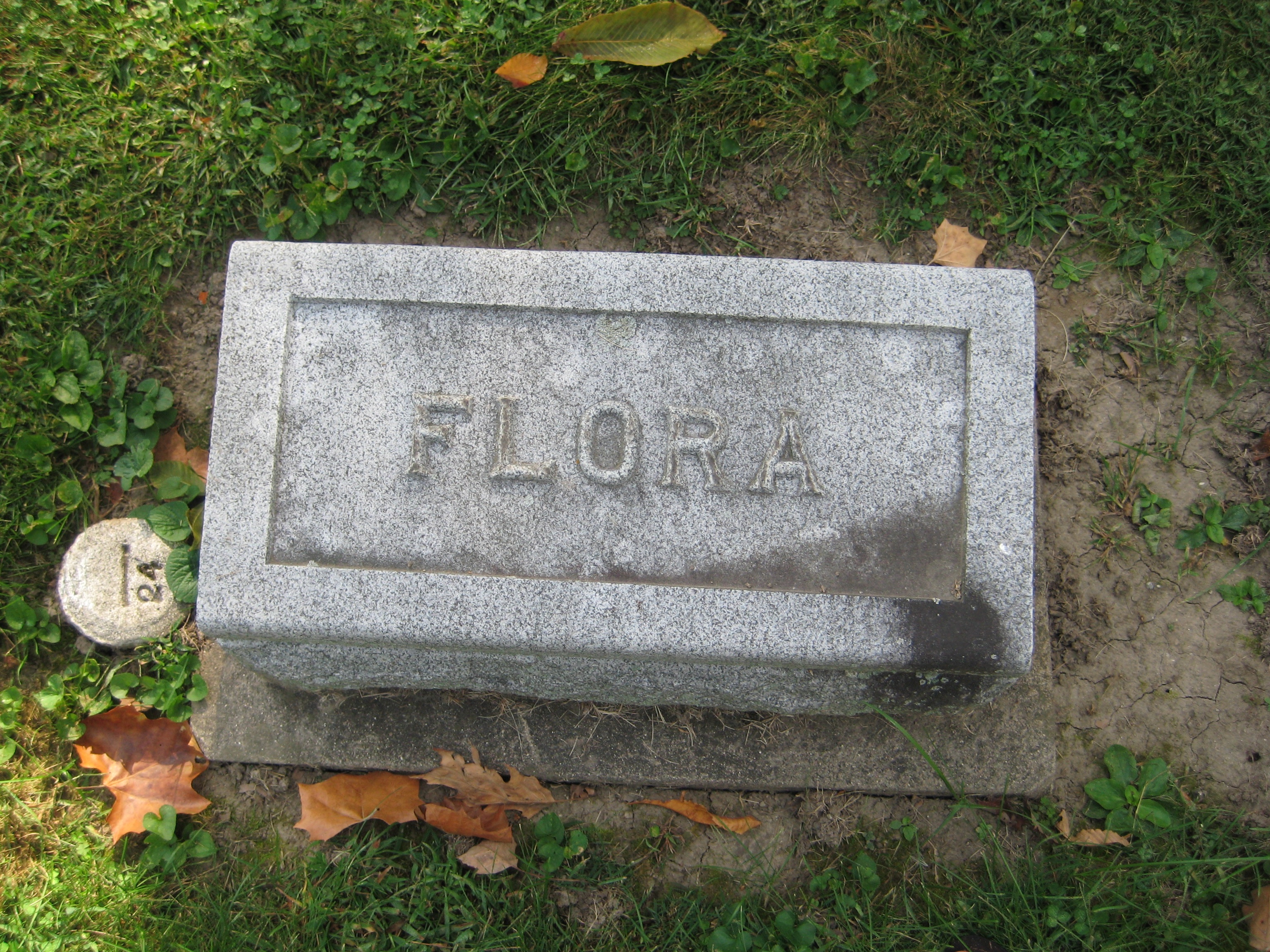 Deutsch, Flora