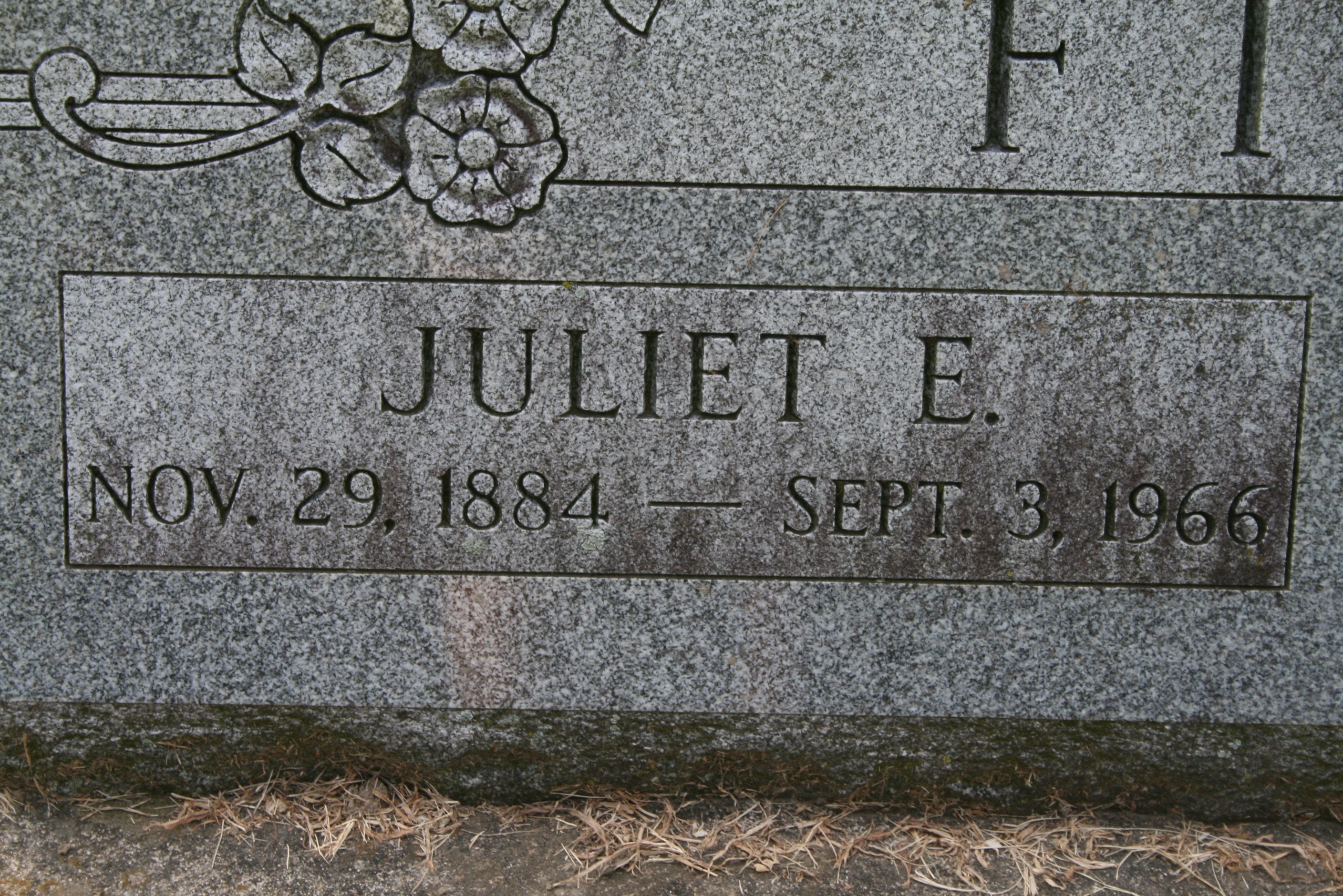 Fink, Juliet E.