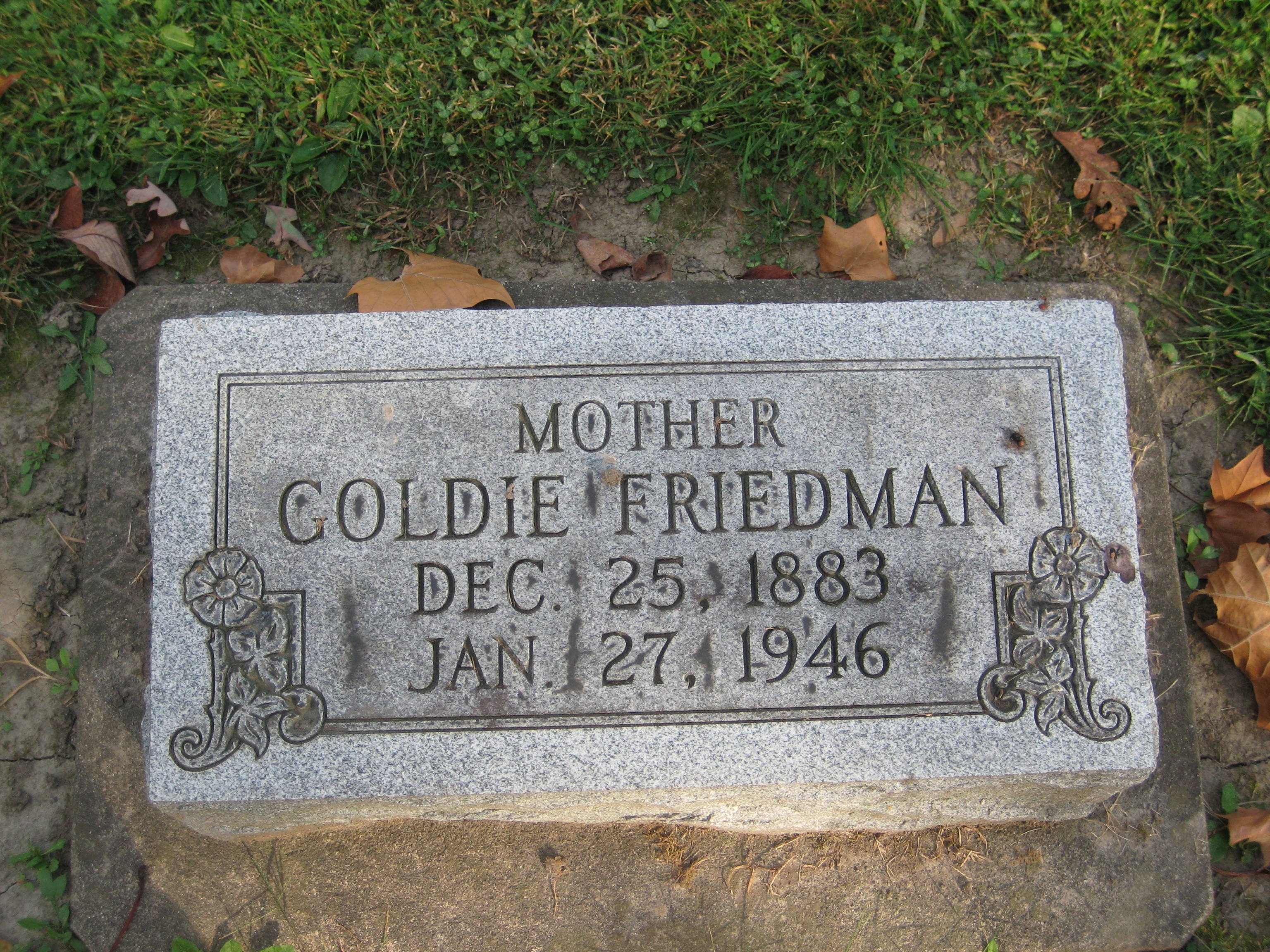 Friedman, Goldie