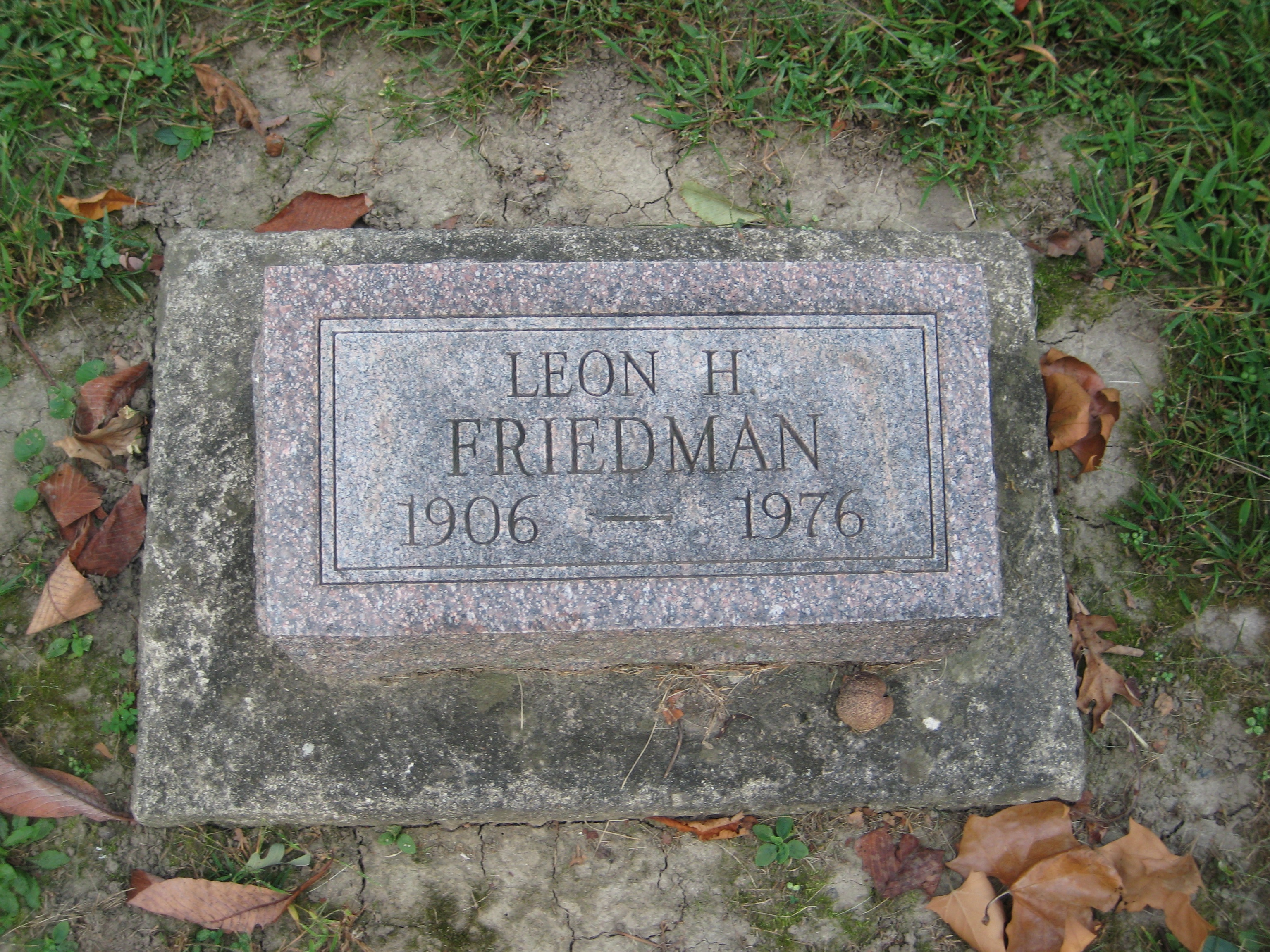 Friedman, Leon H.