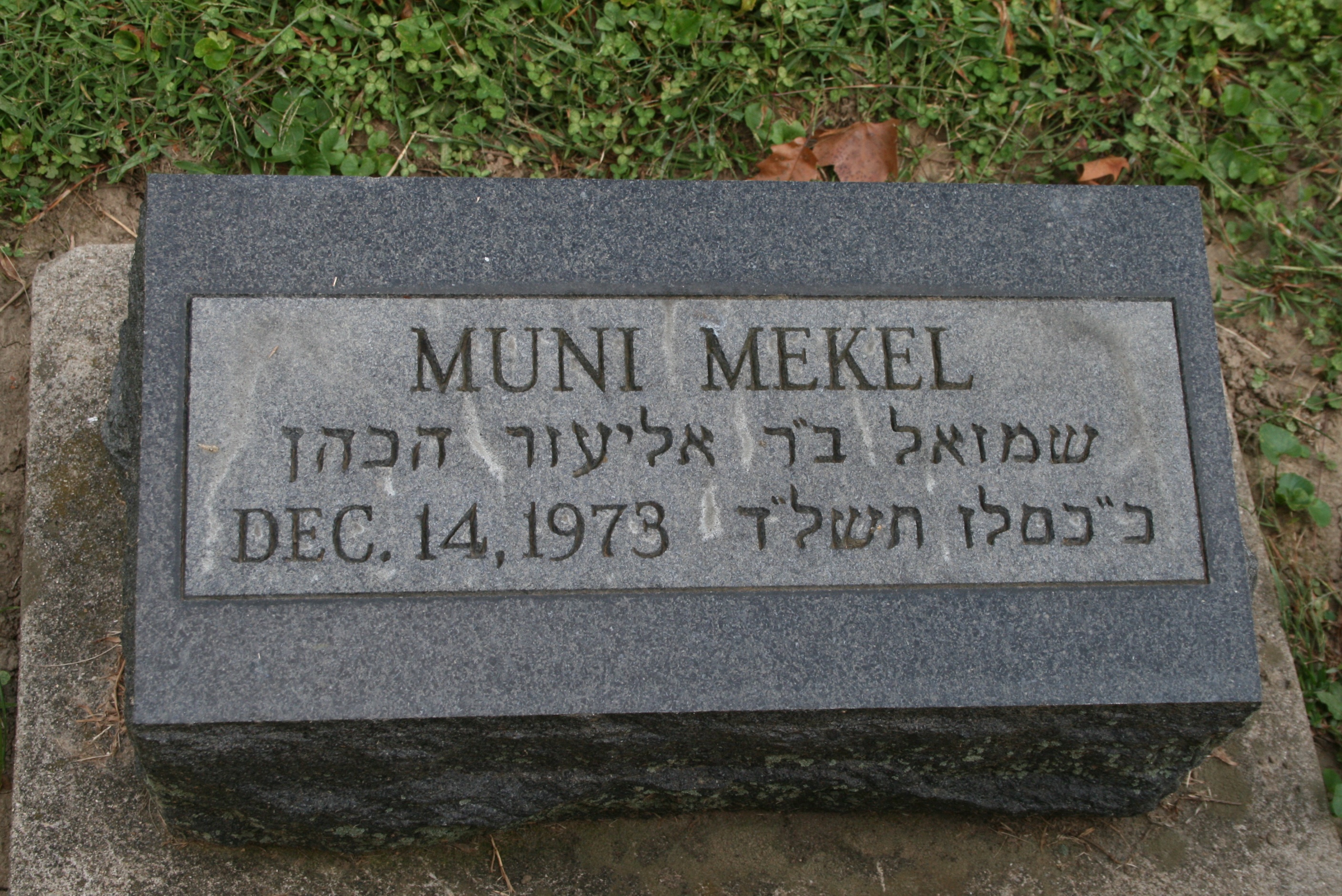 Mekel, Muni