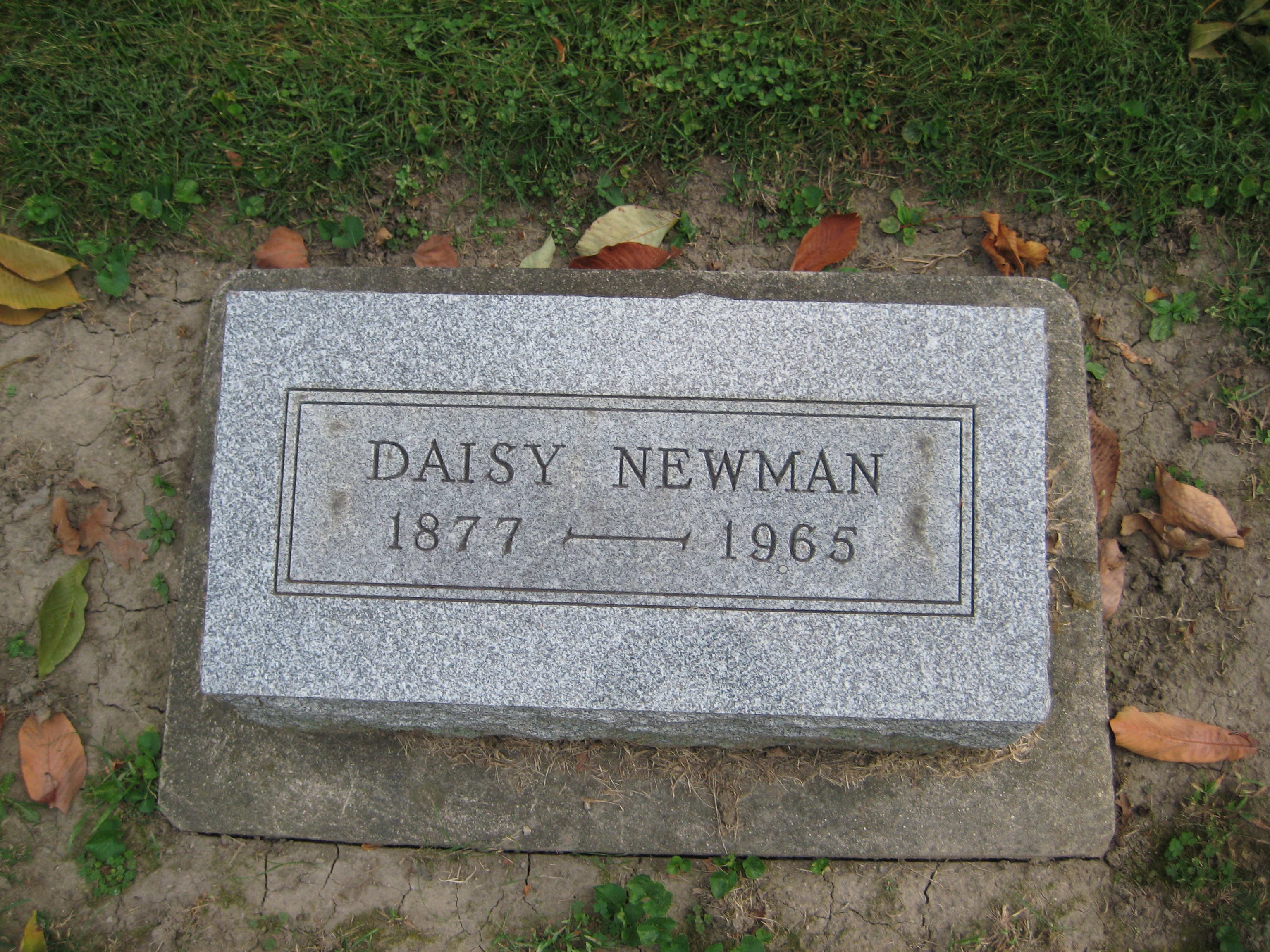 Newman, Daisy