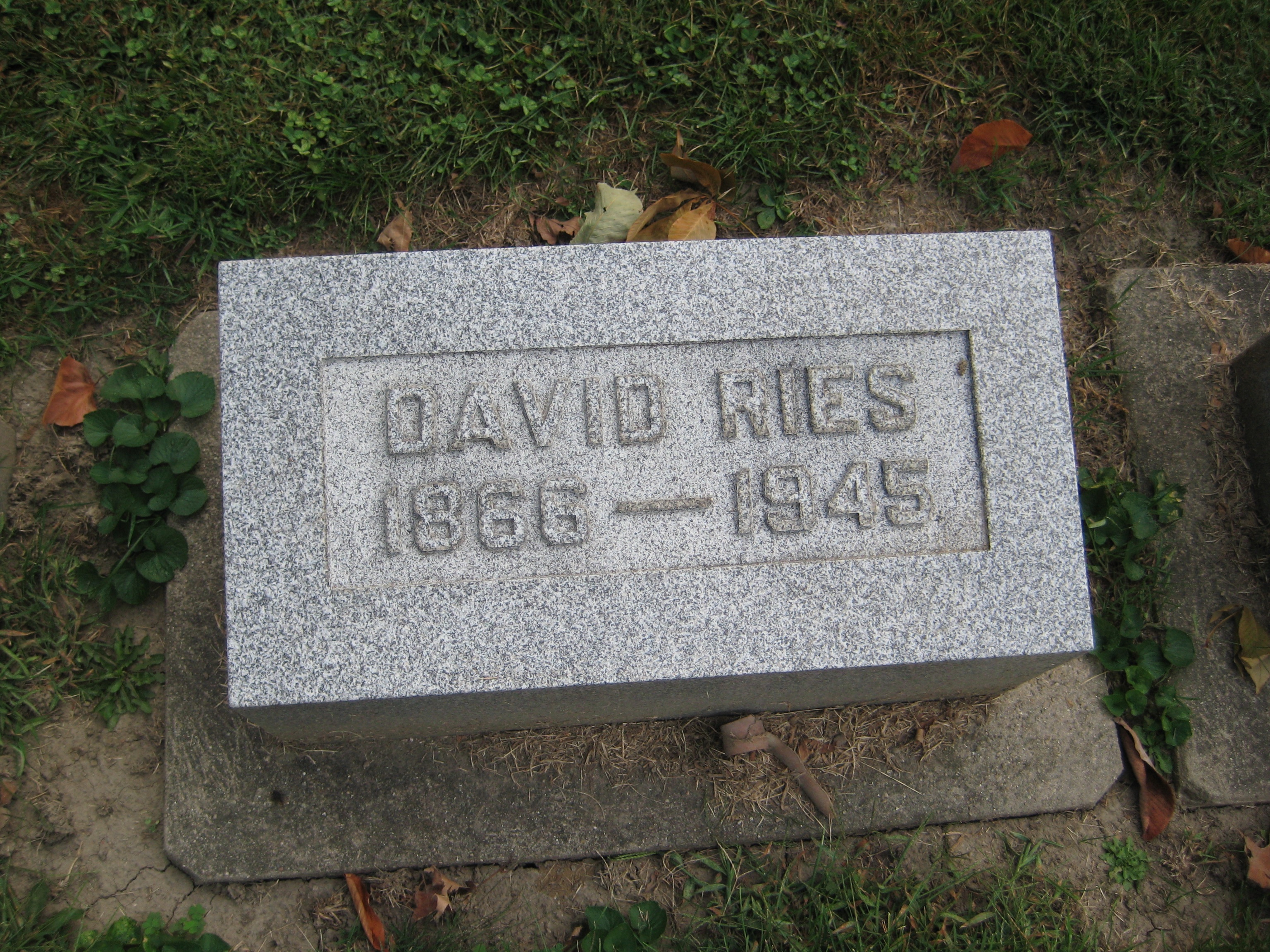 Ries, David