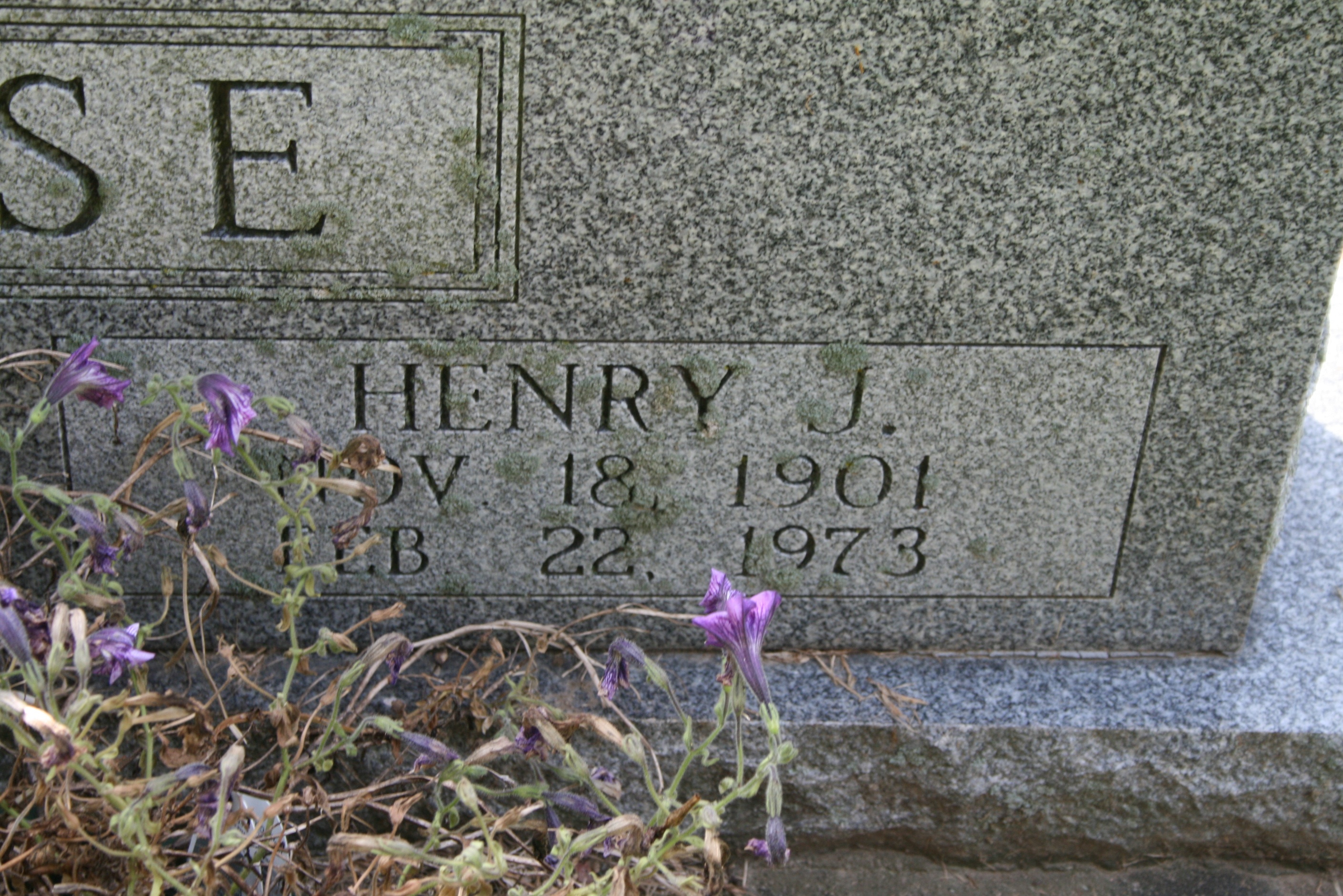 Rose, Henry J.