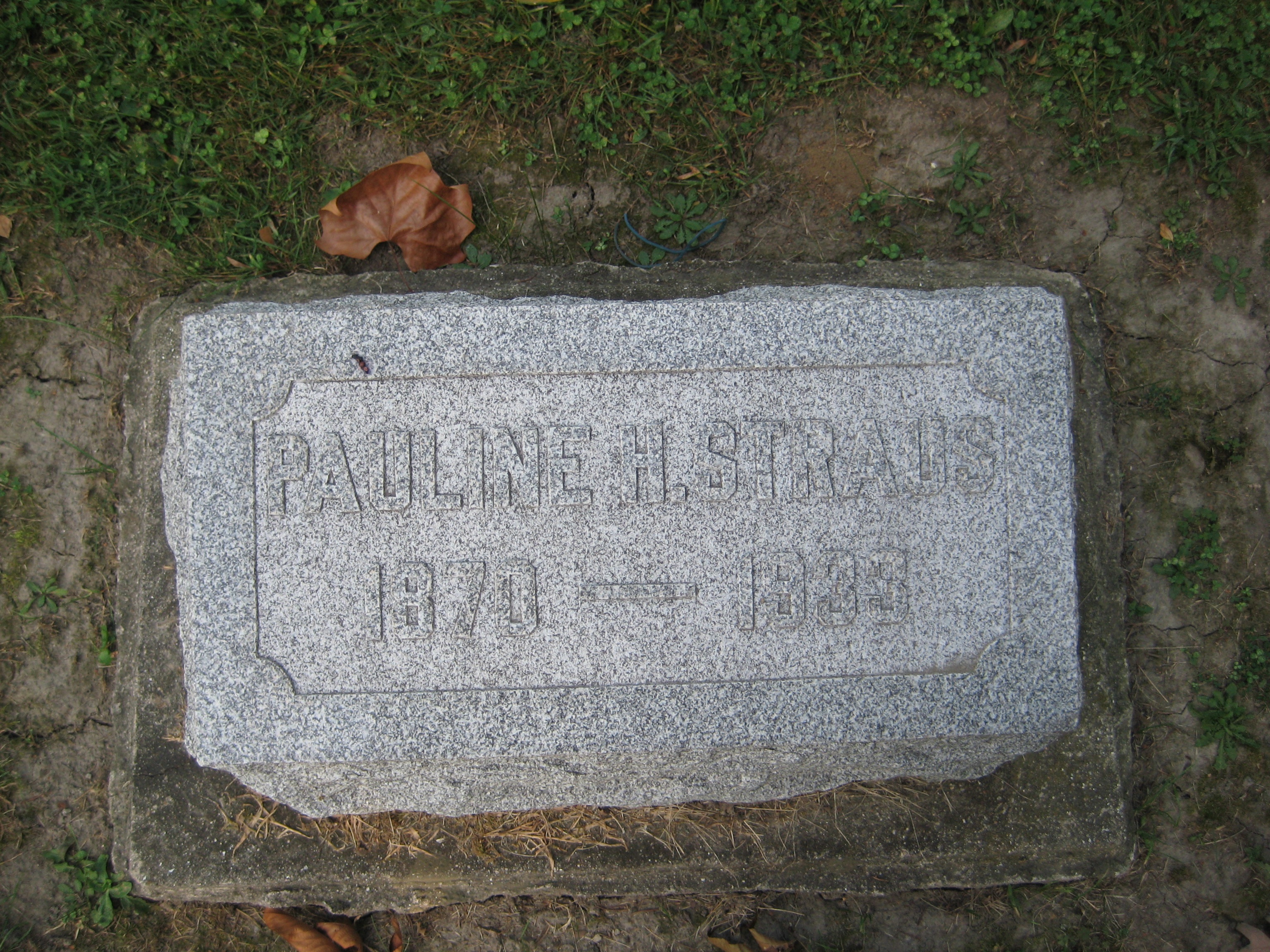 Straus, Pauline