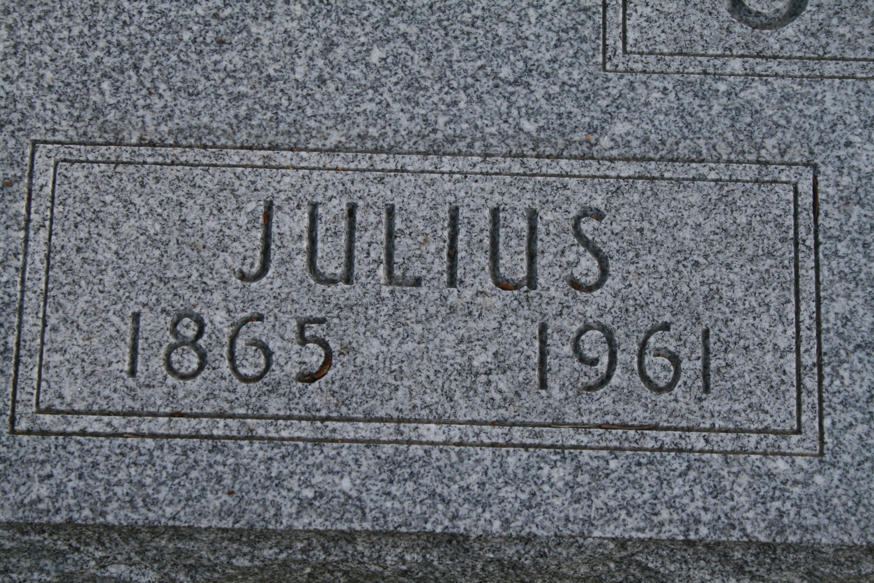 Strauss, Julius