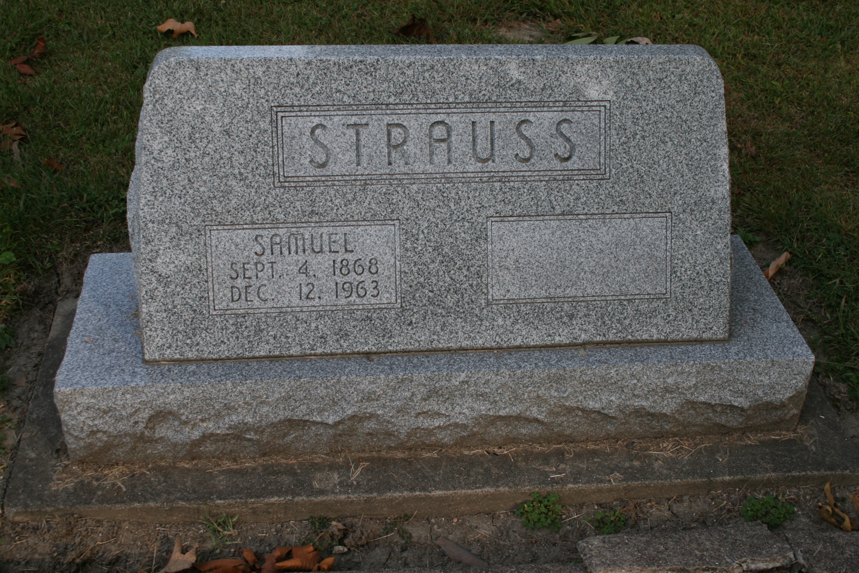 Strauss, Samuel